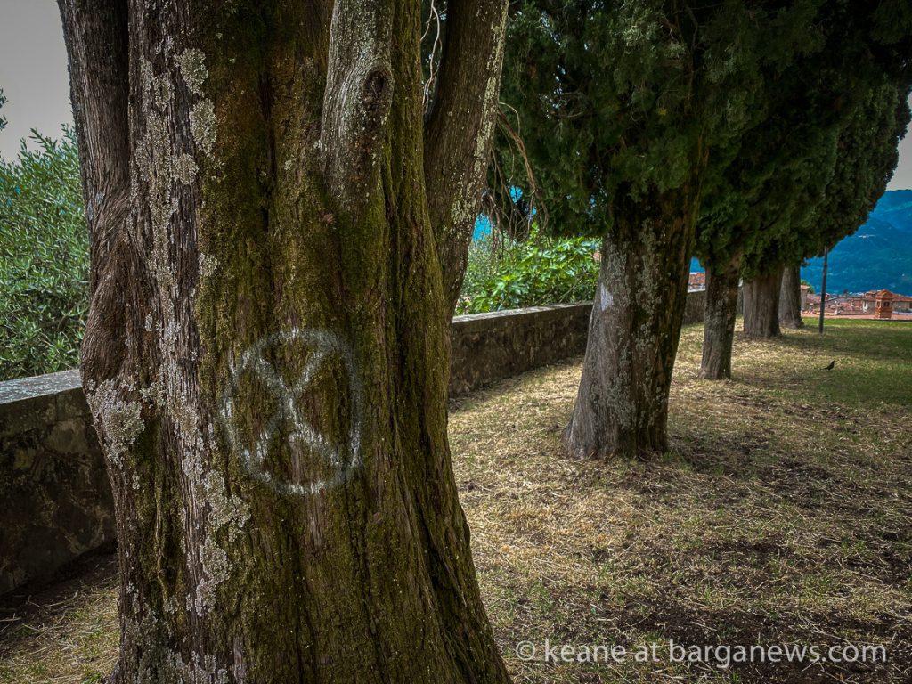 Daily Image from BARGA 18th June 2021