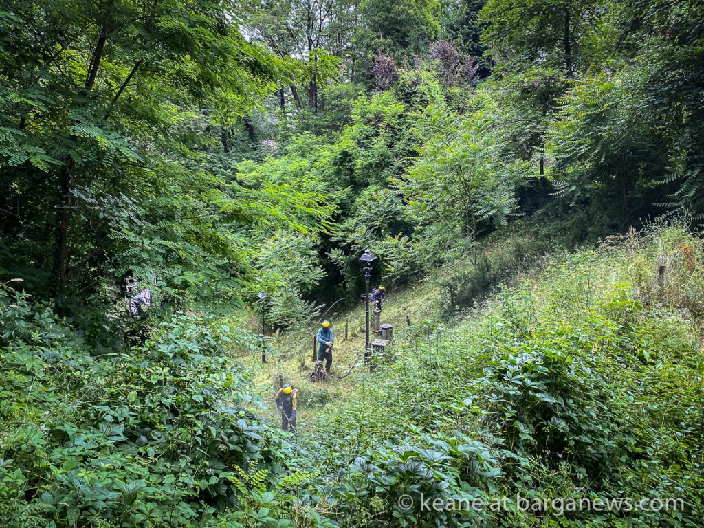 Daily Image from BARGA 19th June 2021