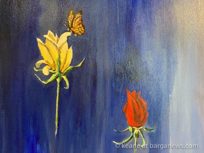 images from barga -26007