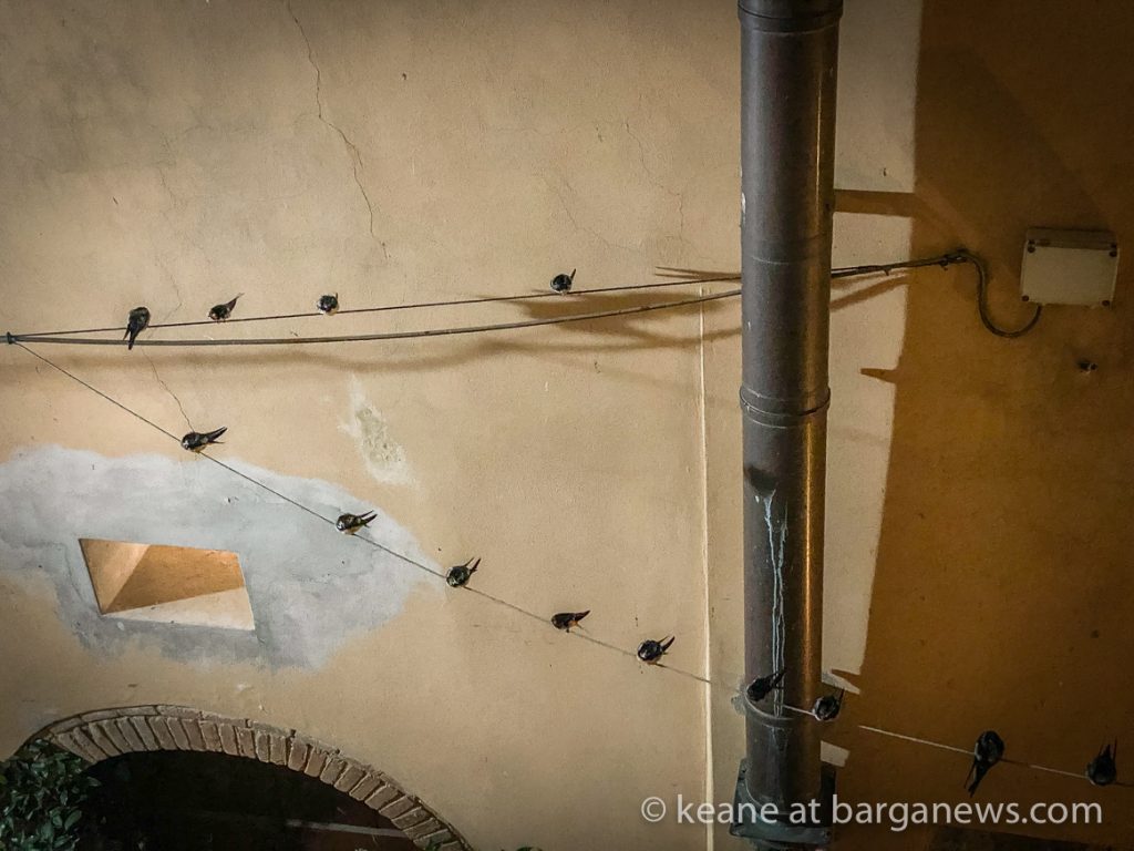 Daily Image from BARGA 14th July 2021