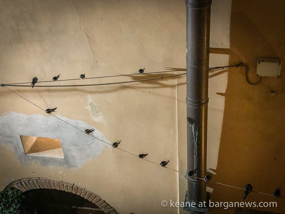 Daily Image from BARGA 14th July 2021