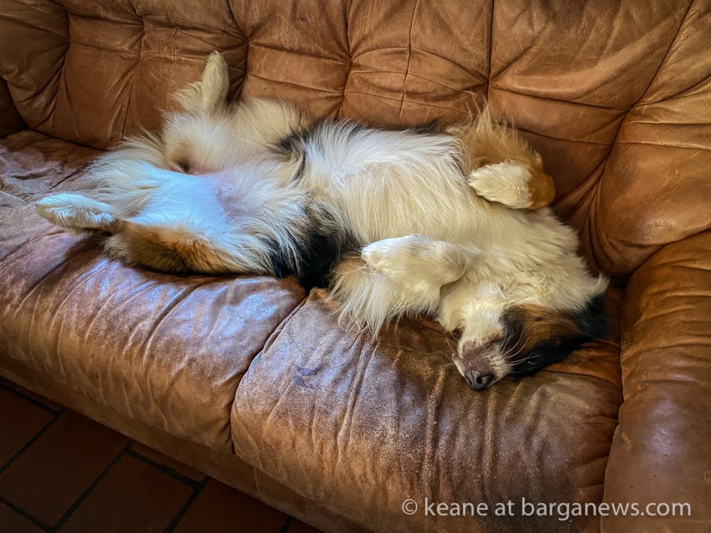 Daily Image from BARGA 31st July 2021