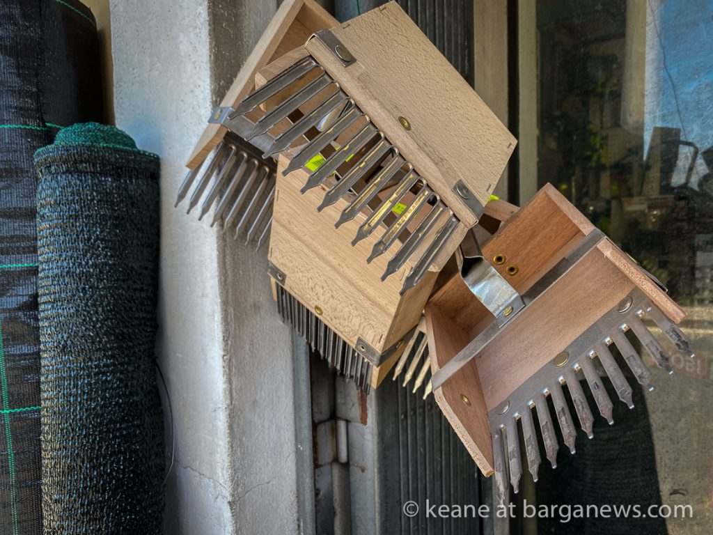 Daily Image from BARGA 11th August 2021