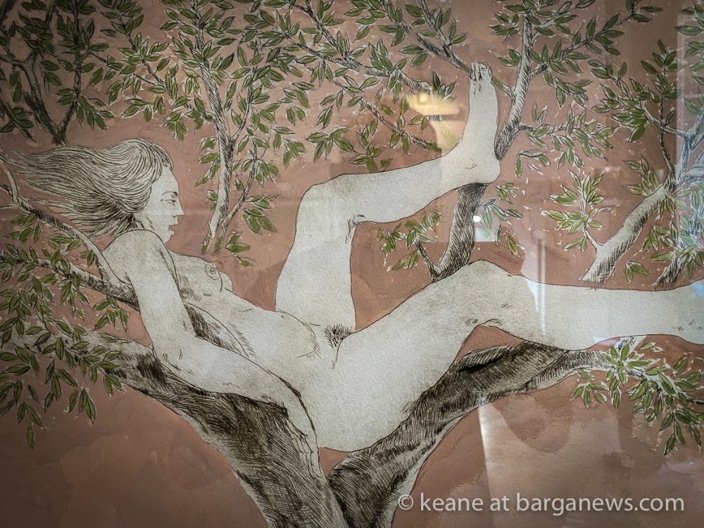 images from barga -28050