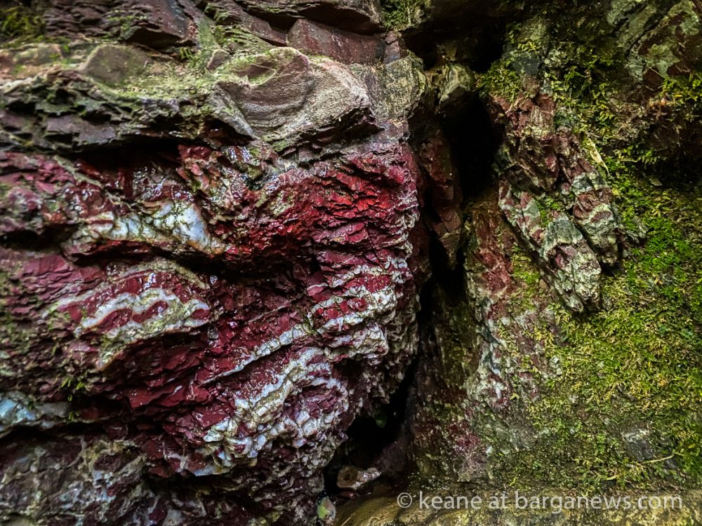 images from barga -28436