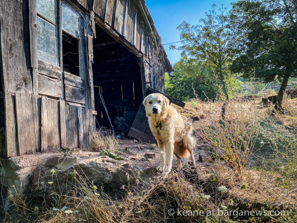Daily Image from BARGA 16th August 2021