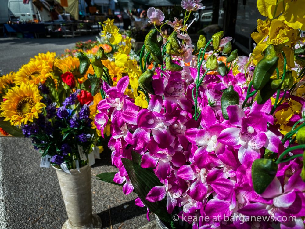 images from barga -28518