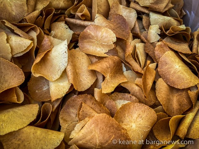 images from barga -28525