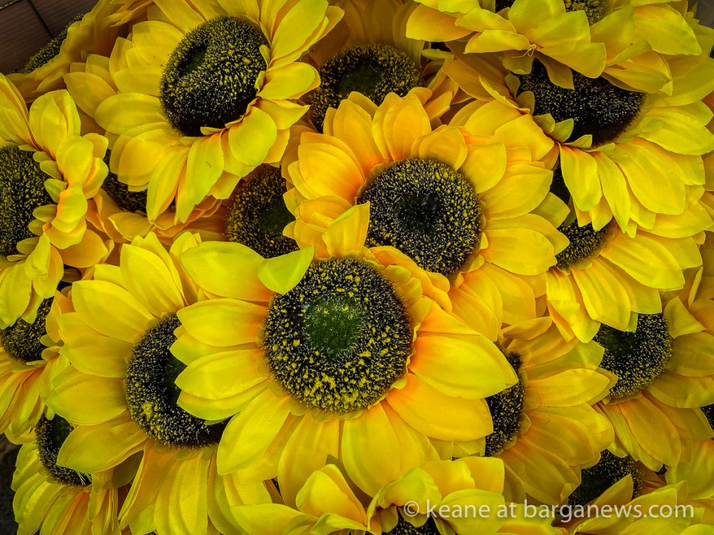 images from barga -28526