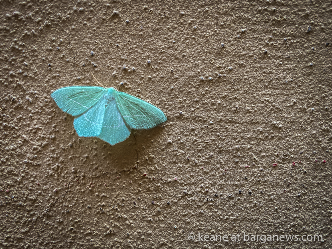 images from barga -28893