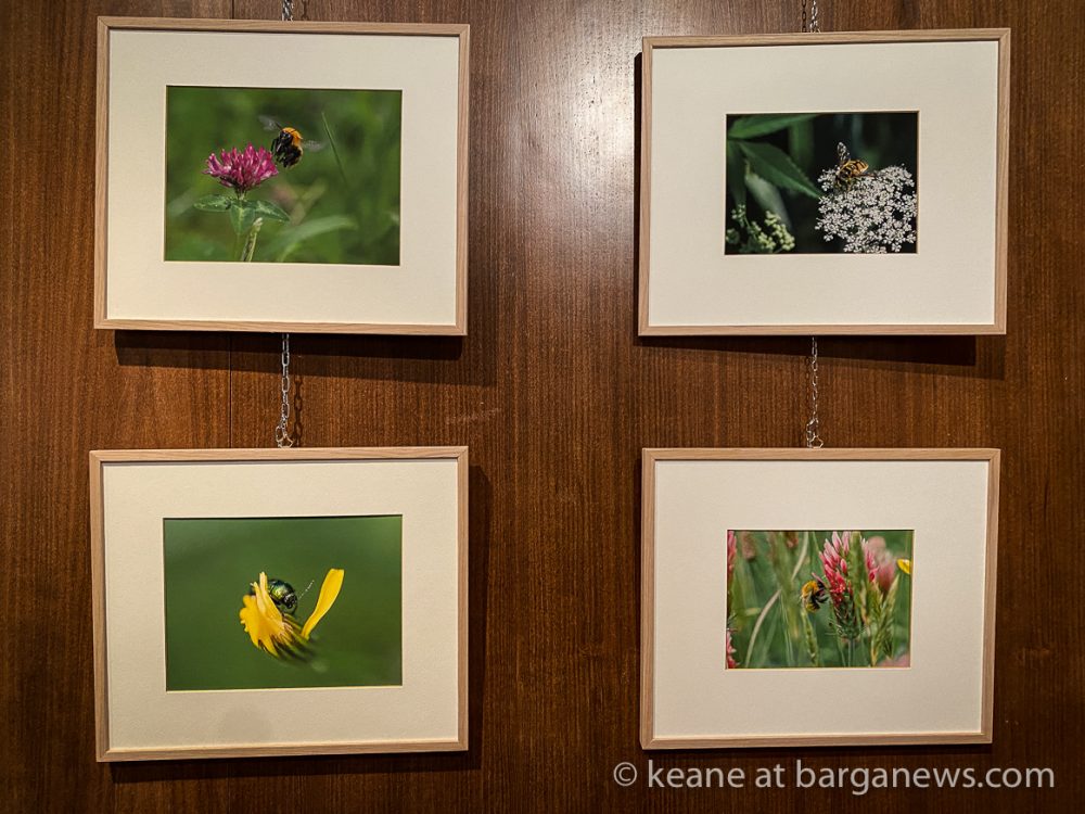 images from barga -29079