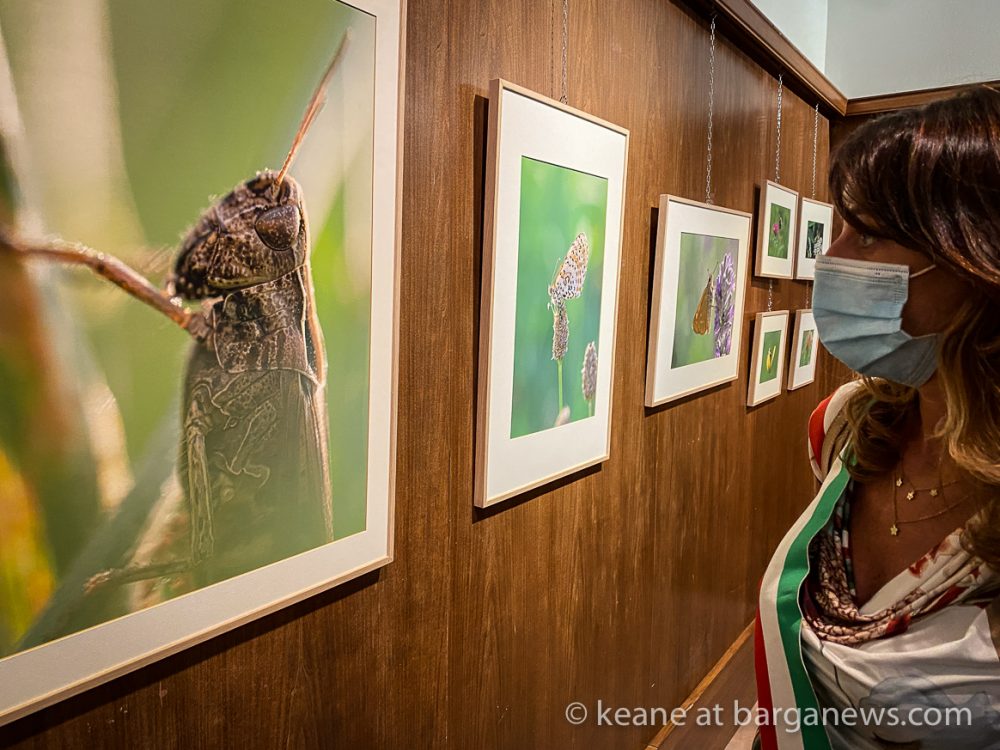 images from barga -29115