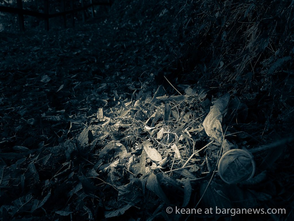 Daily Image from BARGA 2nd September 2021