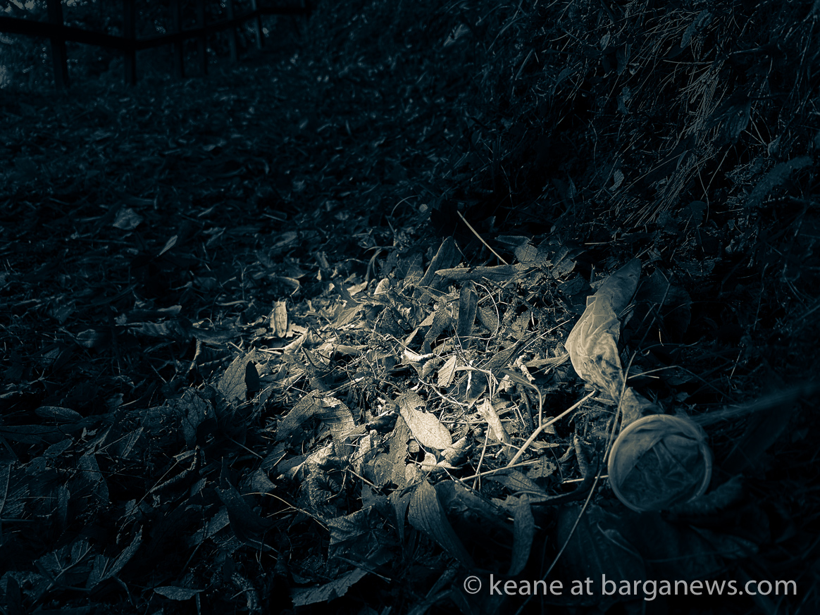 Daily Image from BARGA 2nd September 2021