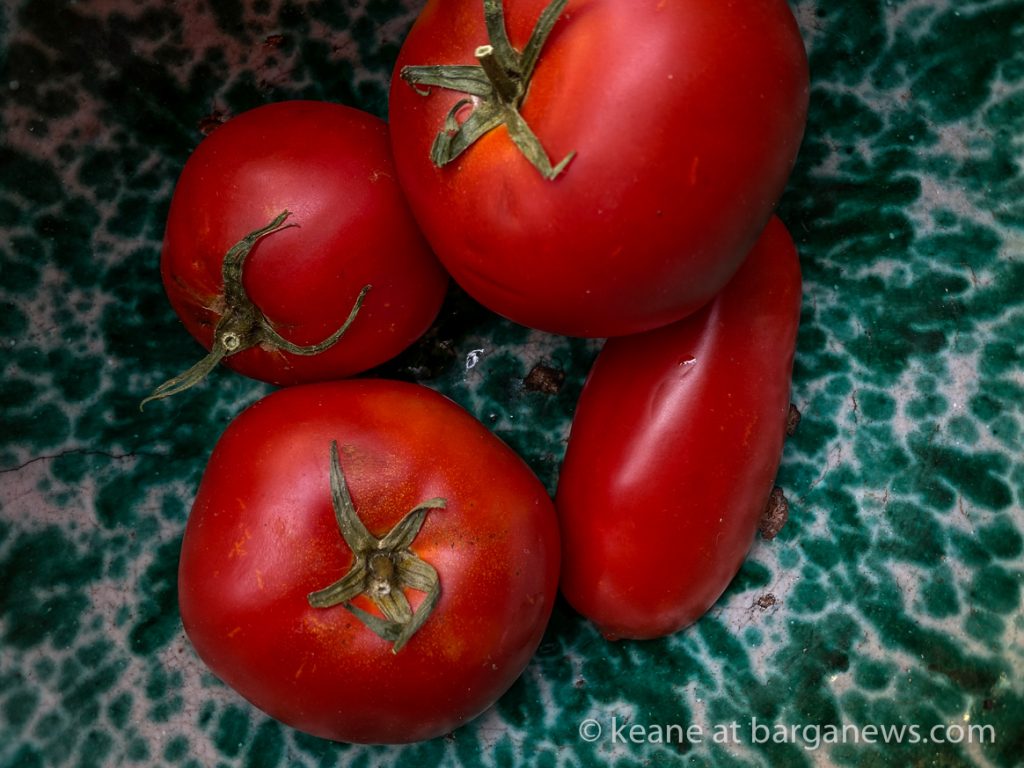 Daily Image from BARGA 7th September 2021