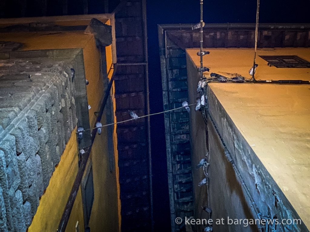 Daily Image from BARGA 8th September 2021