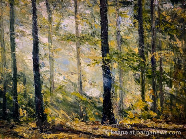 images from barga -30635