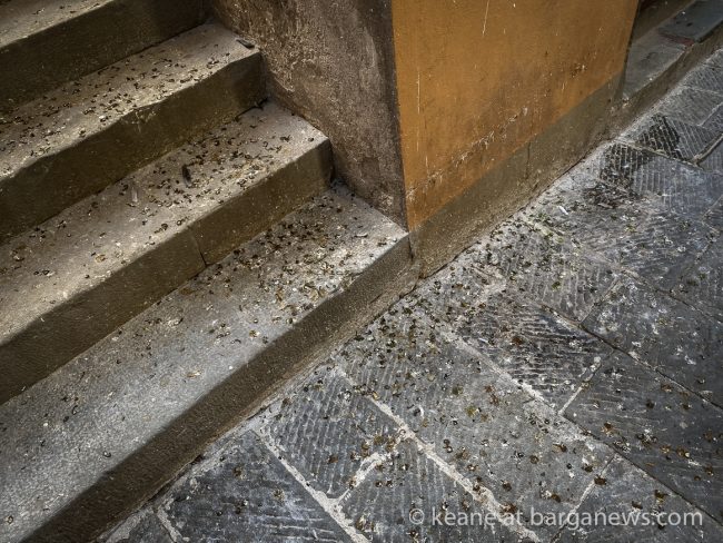 images from barga -30774