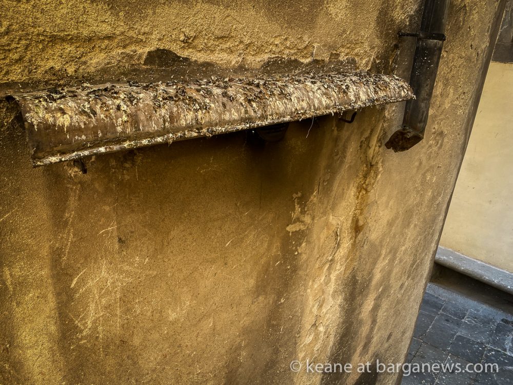 images from barga -30781