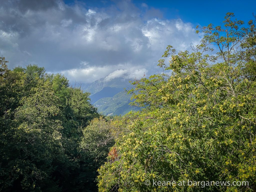 Daily Image from BARGA 20th September 2021