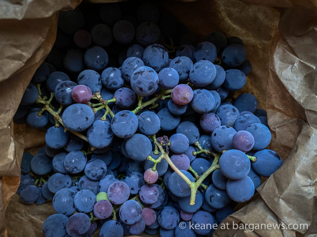 Daily Image from BARGA 30th September 2021