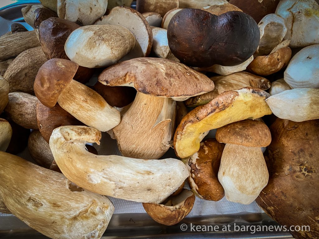 Daily Image from BARGA 6th October 2021