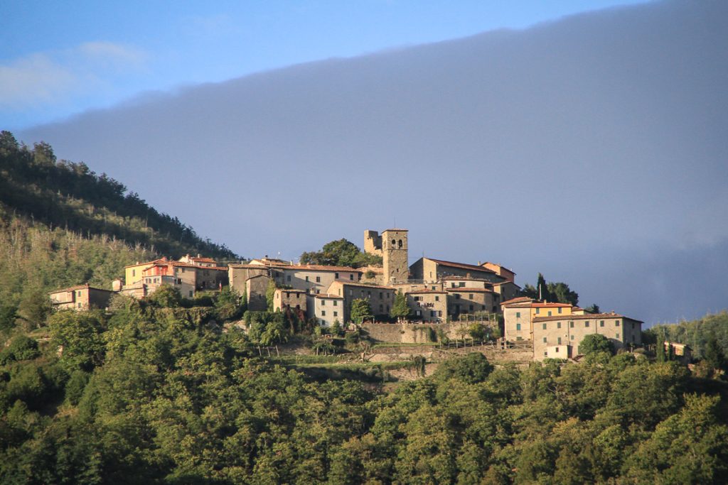 Daily Image from BARGA 9th October 2021