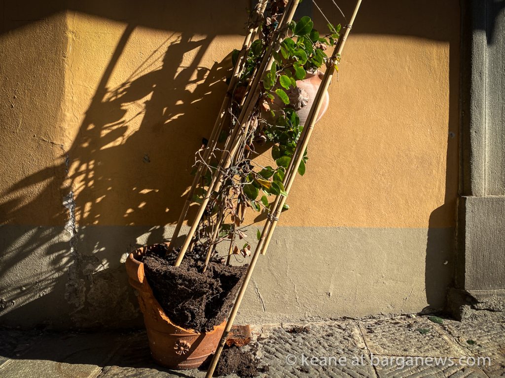 Daily Image from BARGA 10th October 2021