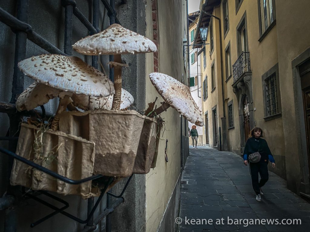 Daily Image from BARGA 17th October 2021