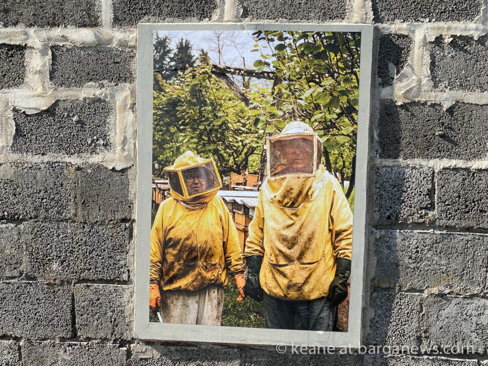 images from barga -33102