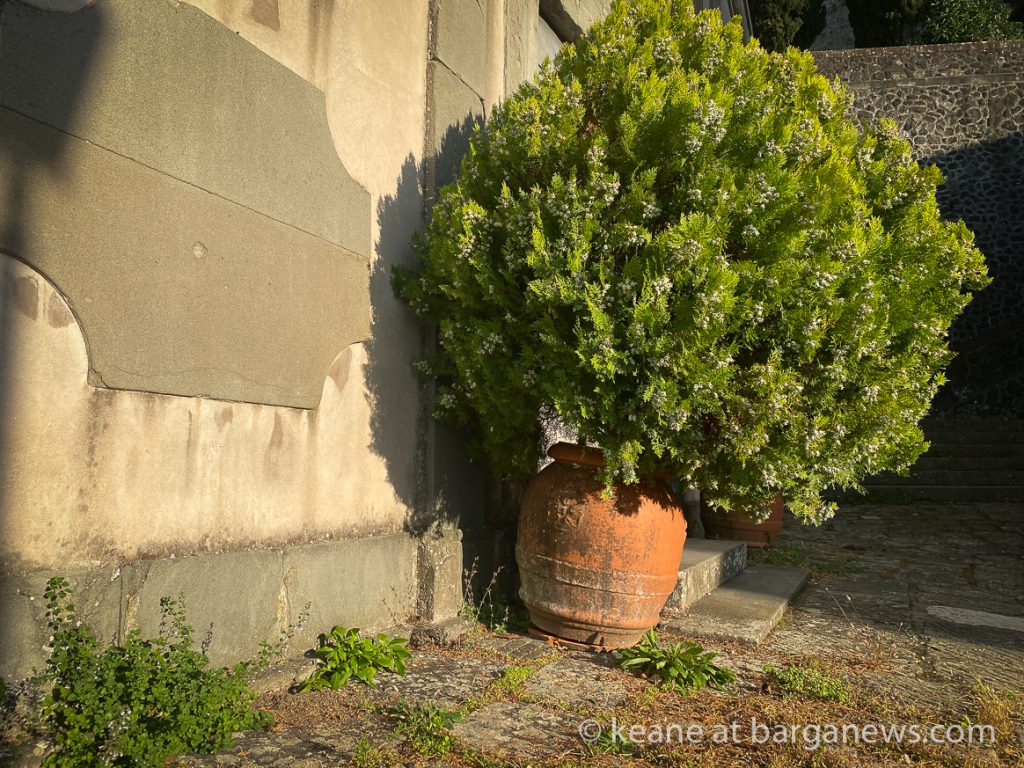 Daily Image from BARGA 23rd October 2021