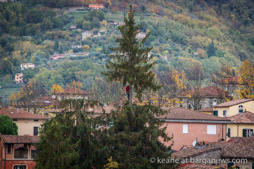 images from barga -34286