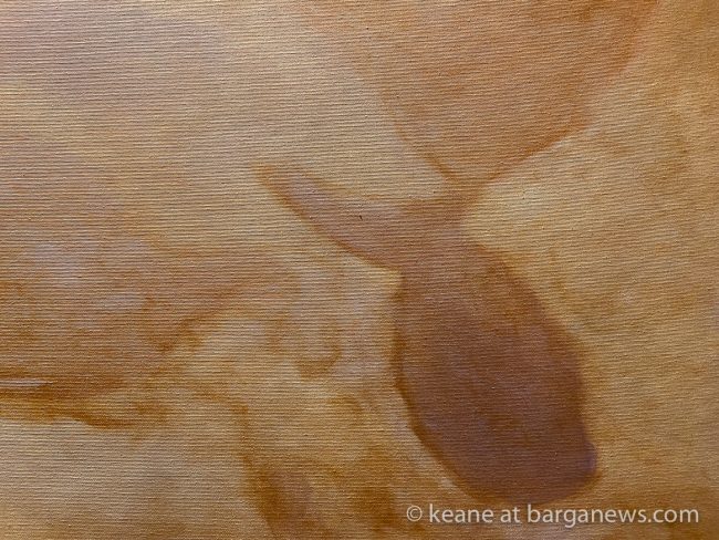 images from barga -35206