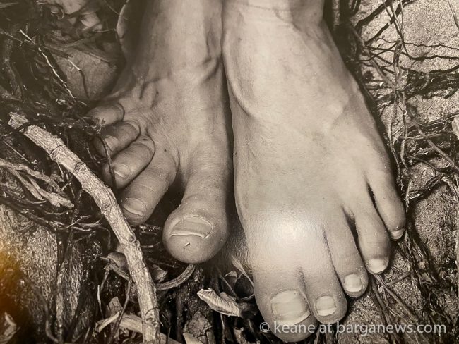 images from barga -35207