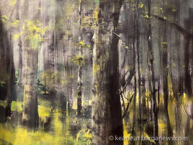 images from barga -35211