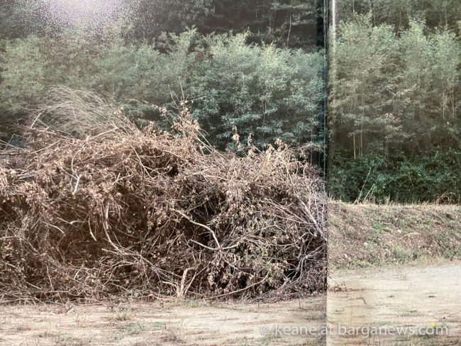 images from barga -35213