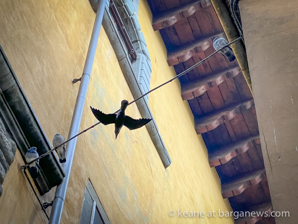 Daily Image from BARGA 28th December 2021