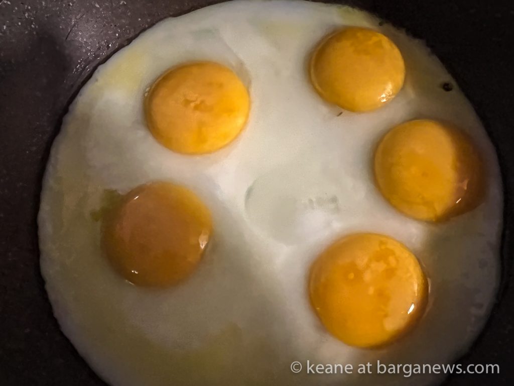 Daily Image from BARGA 13th January 2022