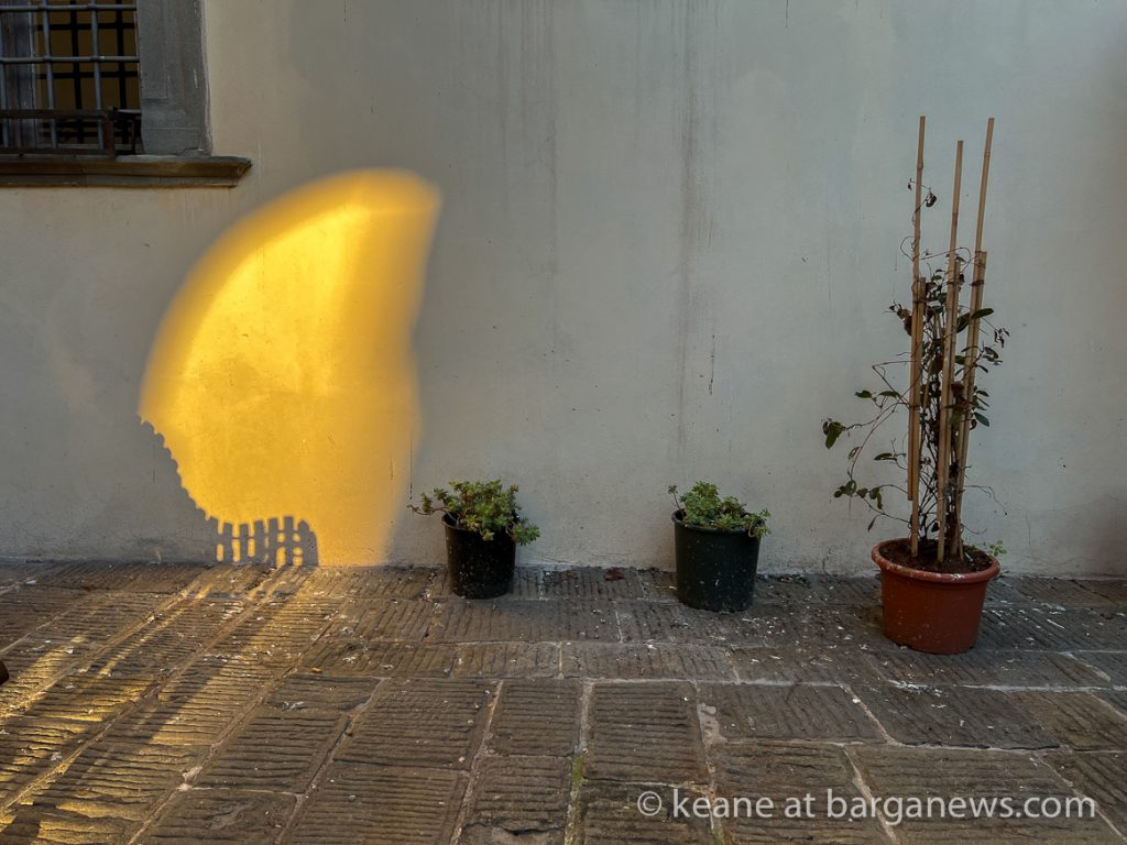 Daily Image from BARGA 22nd January 2022