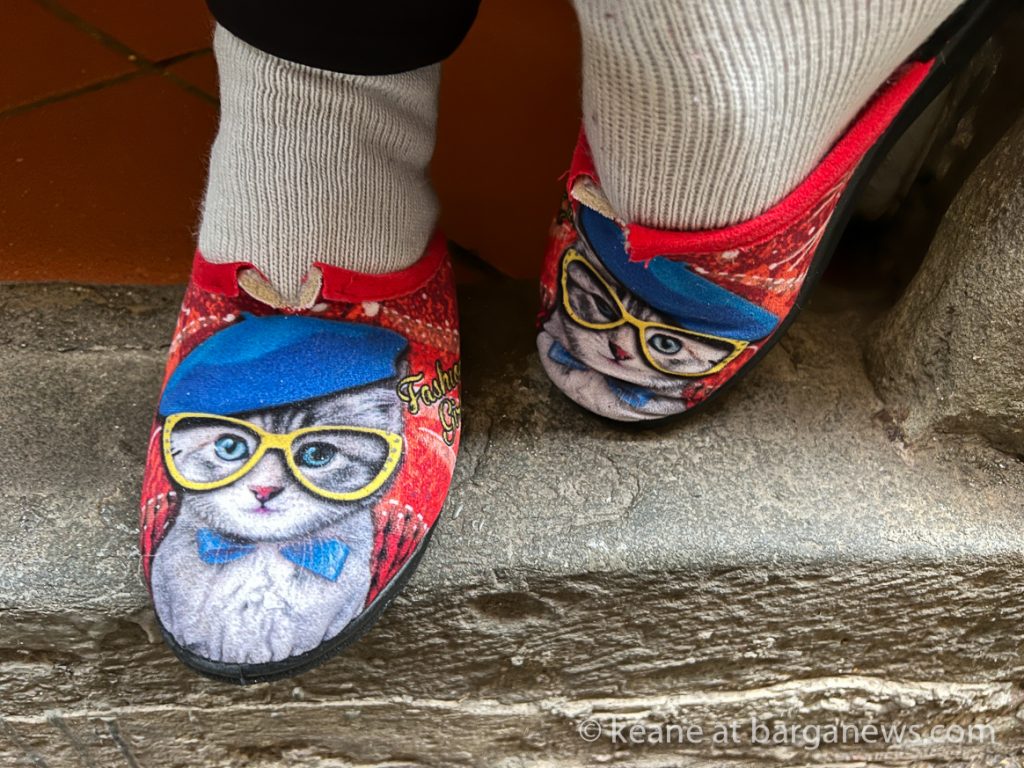 Daily Image from BARGA 1st February 2022