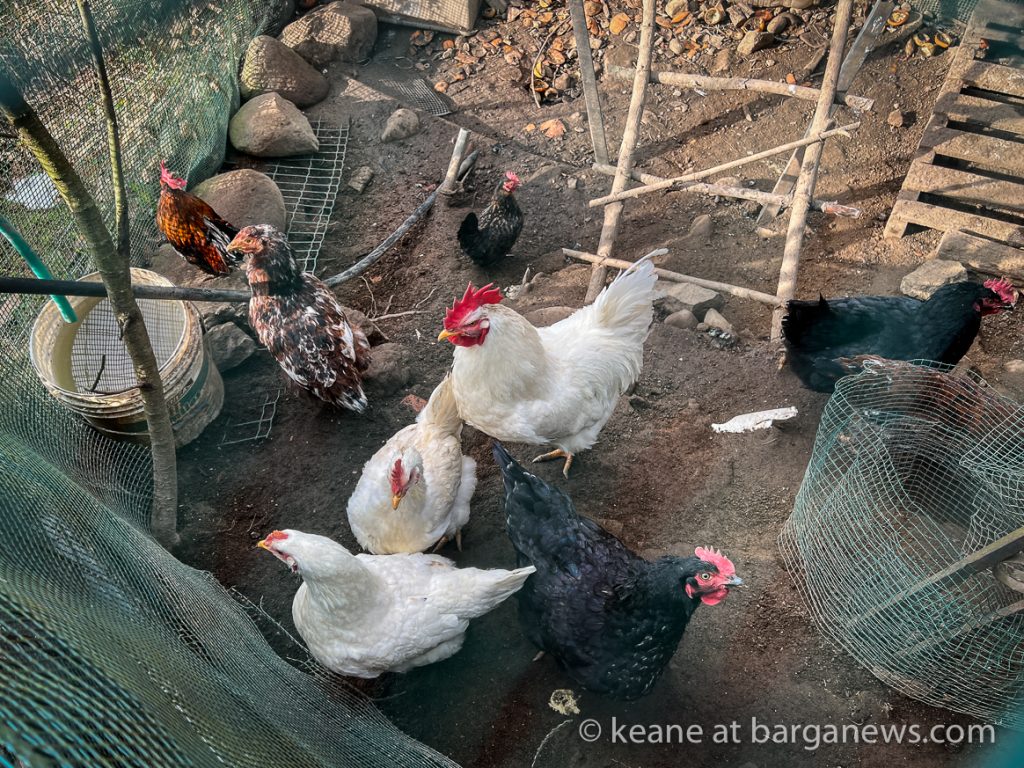 Daily Image from BARGA 7th February 2022