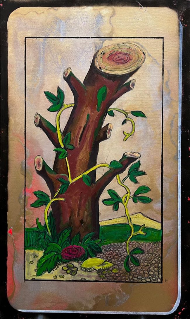 images from barga -39839