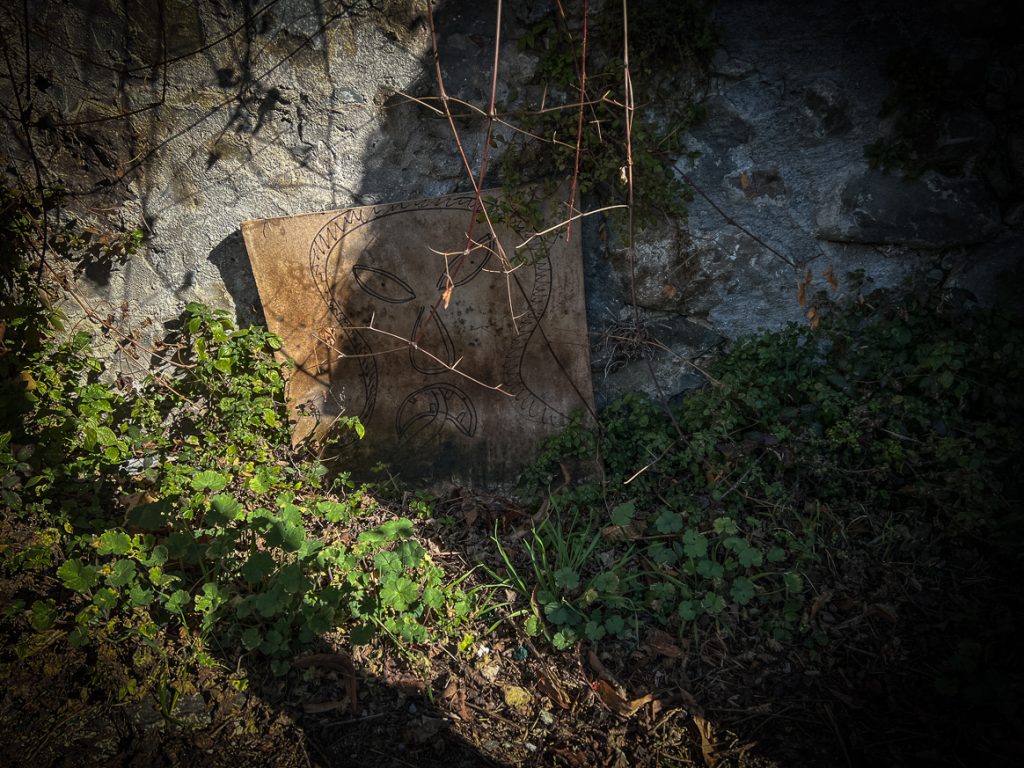 Daily Image from BARGA 11th February 2022