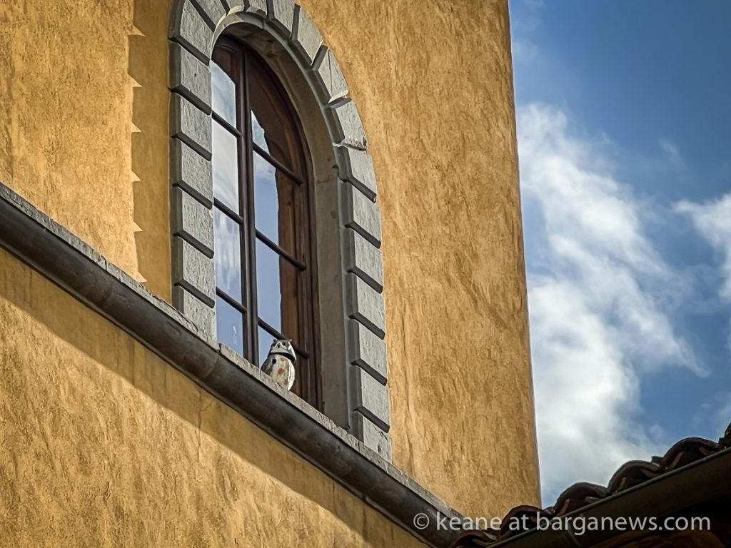 Daily Image from BARGA 26th February 2022