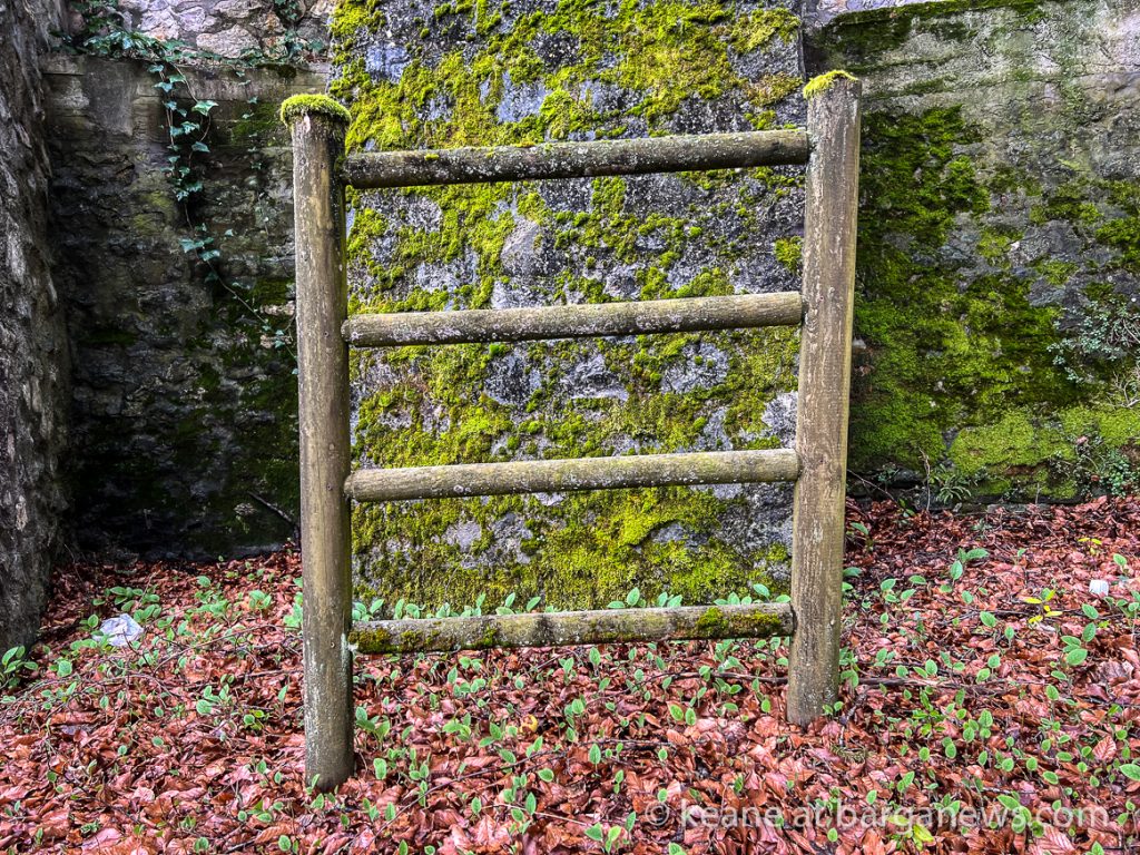 Daily Image from BARGA 22nd February 2022