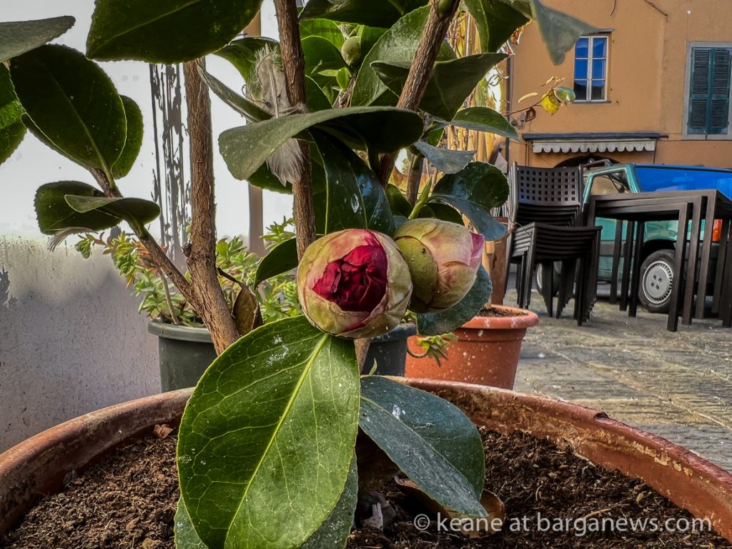 Daily Image from BARGA 25th February 2022