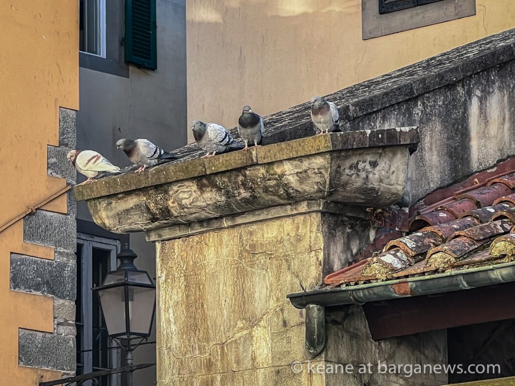 Daily Image from BARGA 24th February 2022