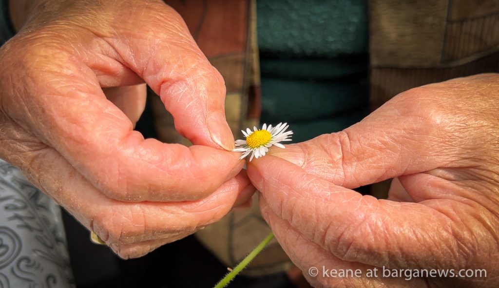 He loves me, he loves me not