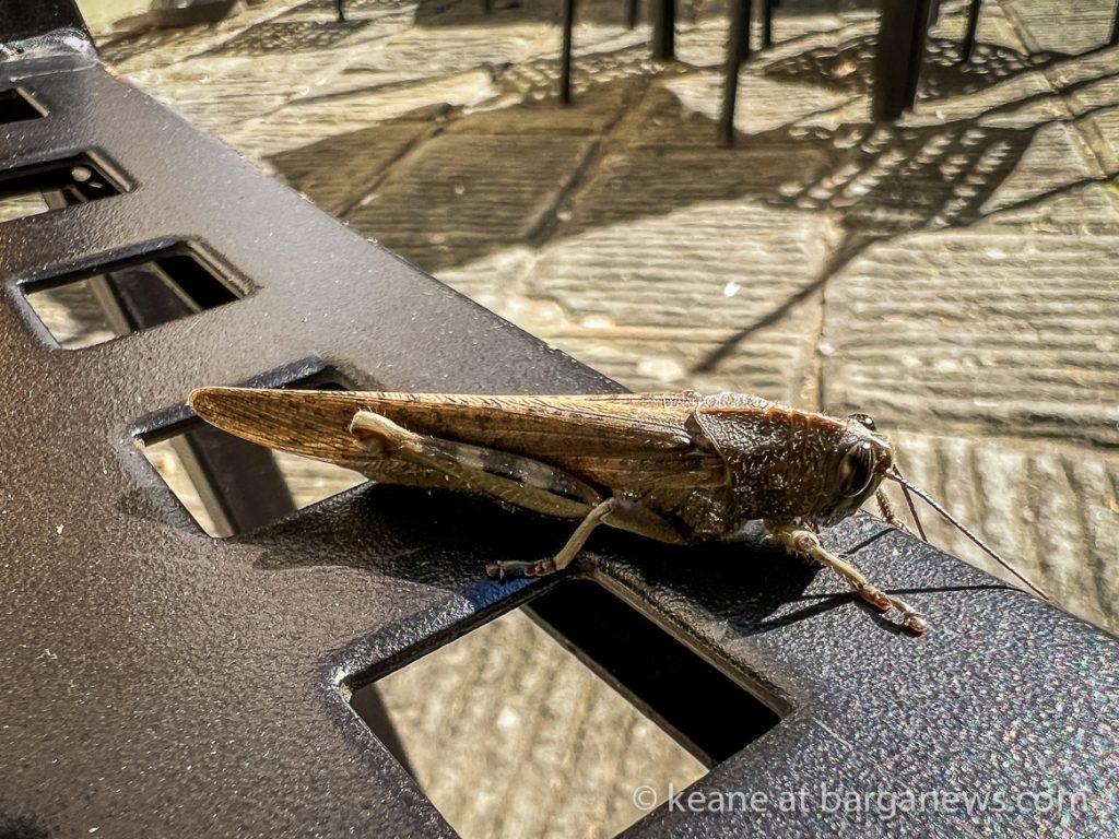 Daily Image from BARGA 4th March 2022