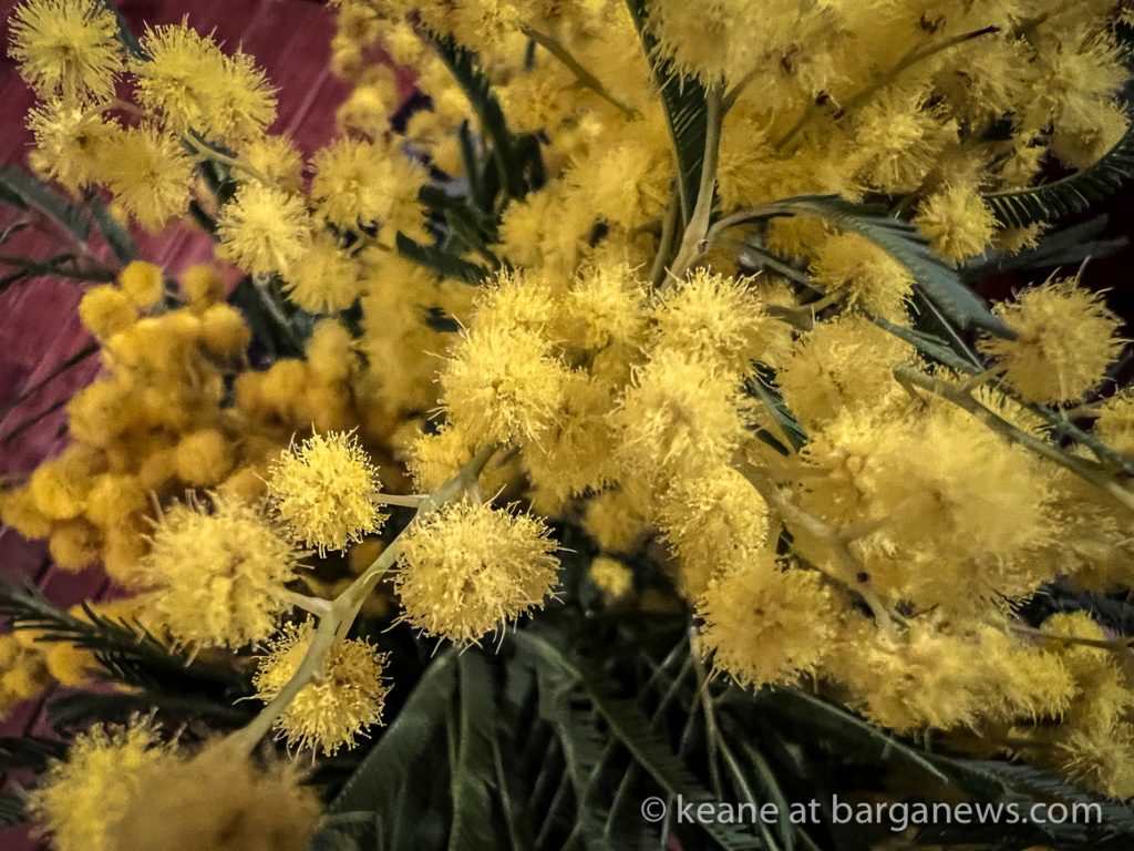 Daily Image from BARGA 9th March 2022